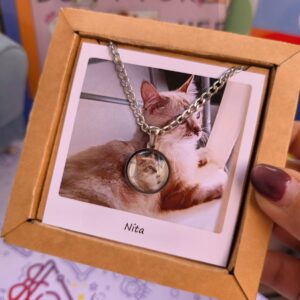 Collar Lumina Plateado Cadena Gruesa – Acero Inoxidable + Envio Gratis